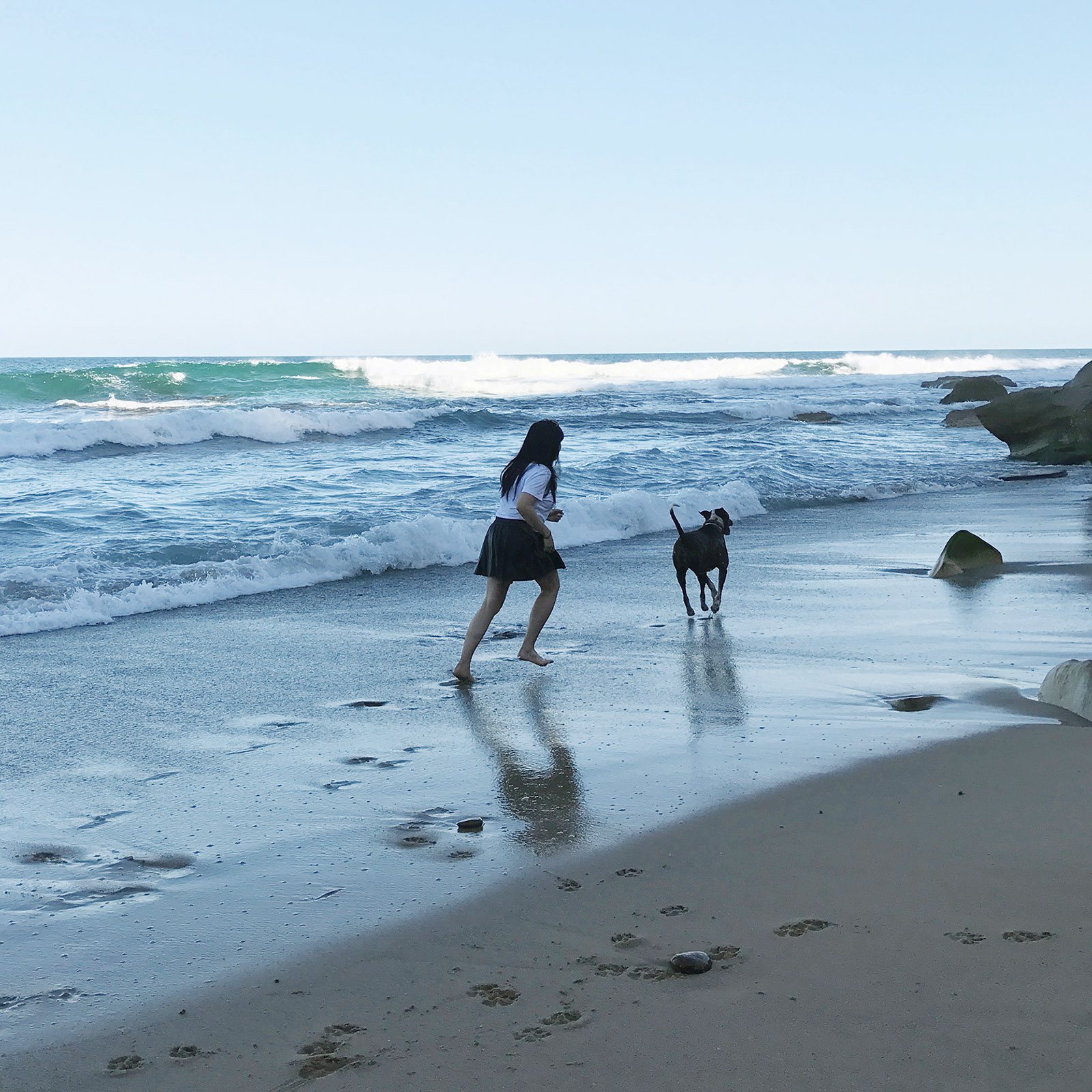 Gita walking her dog on the beach